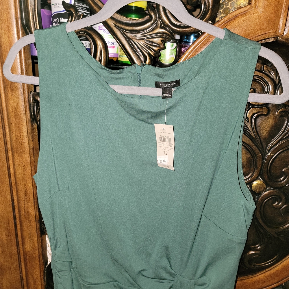Ann Taylor Sleeveless  Sage Green Ruched  Dress